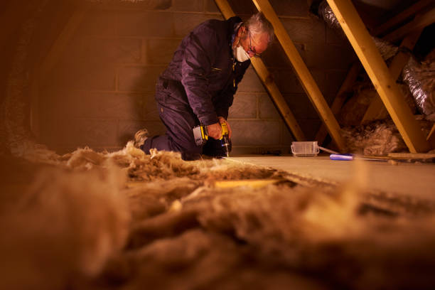 Best Insulation for Specific Applications in University Of Lifornia Santa Barbara, CA