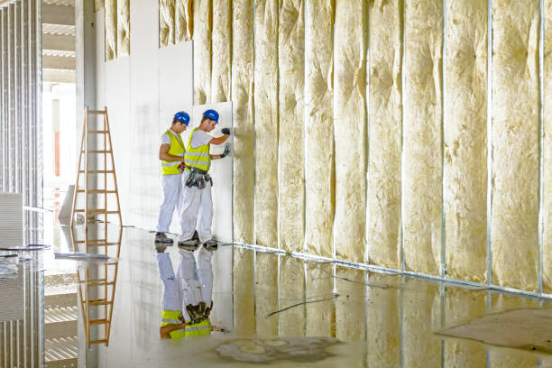 Best Types of Insulation in University Of Lifornia Santa Barbara, CA